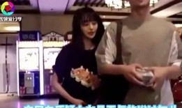 郑爽的爆料视频在哪看,揭秘幕后真相